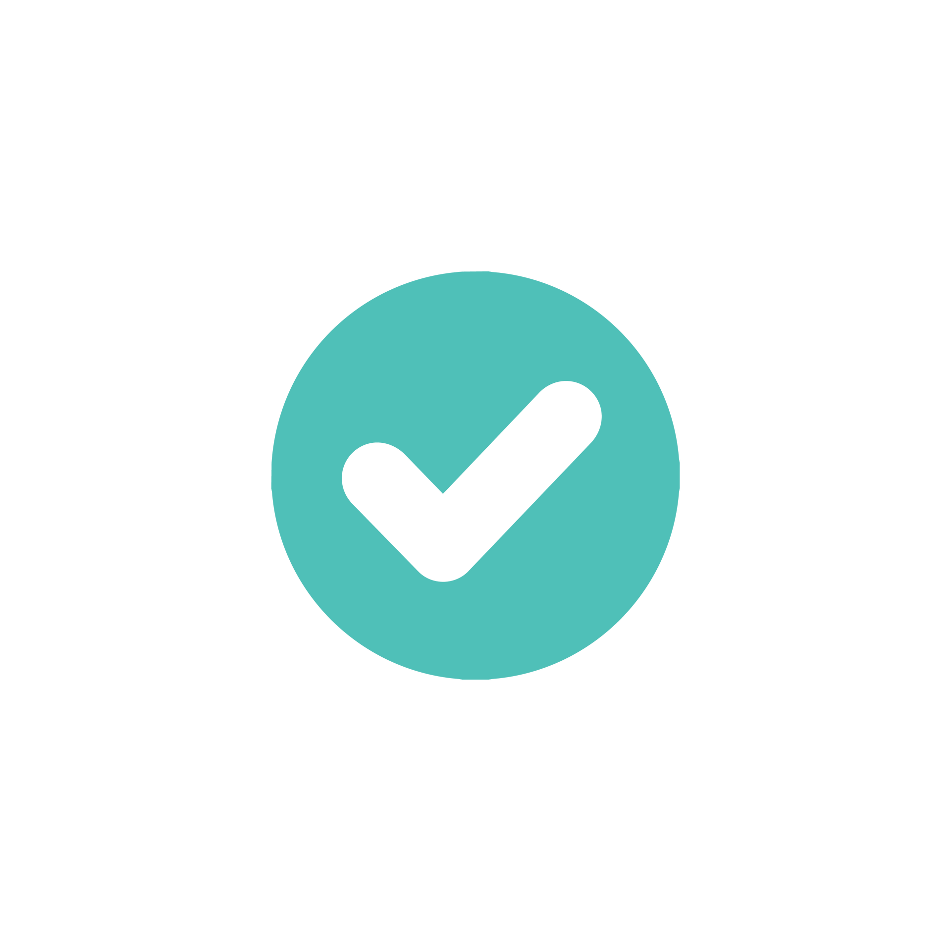 Verify Icon