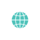 Website Icon