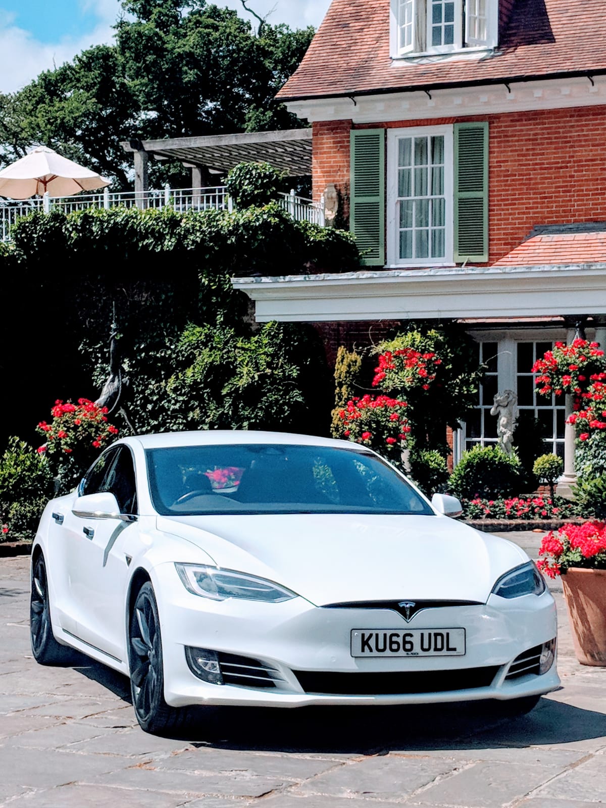 Tesla executive electric chauffeur