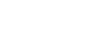 Karl Mecklenburg National Football League Professional Player and Speaker