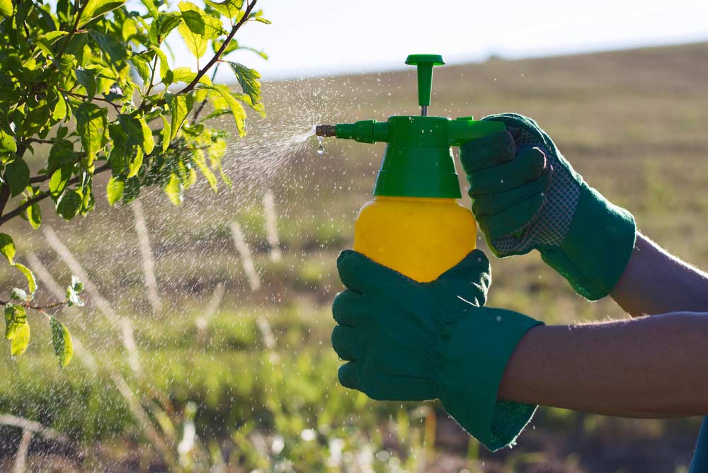 Woman With Gloves And Spraying — Gloucester Rural Supplies in Gloucester, NSW