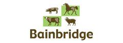 Bainbridge