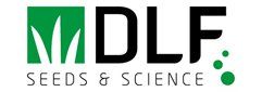 DLF