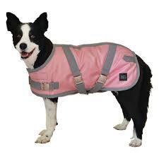 Dog Coats — Gloucester Rural Supplies in Gloucester, NSW