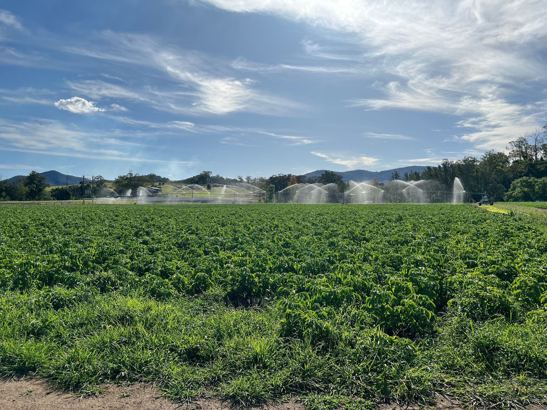 View Watering and Garden — Gloucester Rural Supplies in Gloucester, NSW