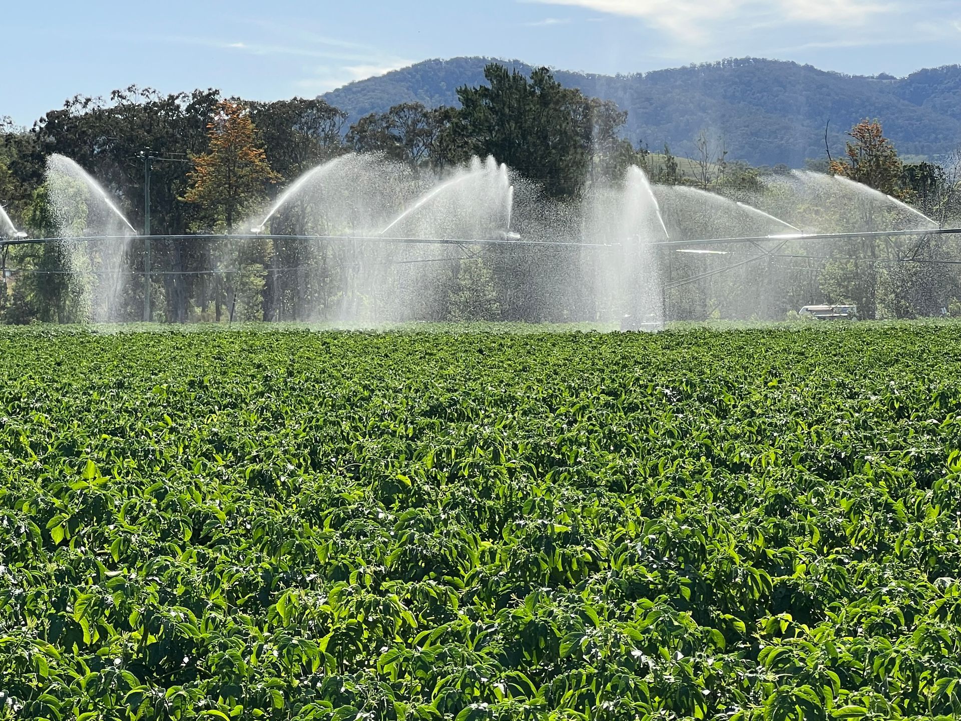 View Farming — Gloucester Rural Supplies in Gloucester, NSW