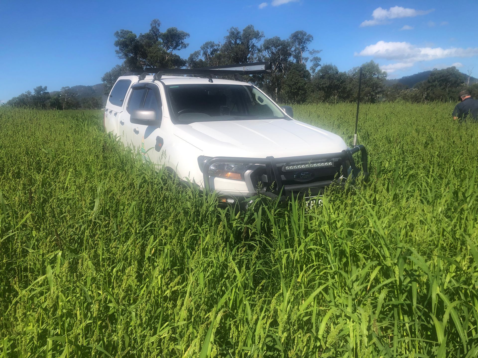 Pick Up Car And Maize — Gloucester Rural Supplies in Gloucester, NSW