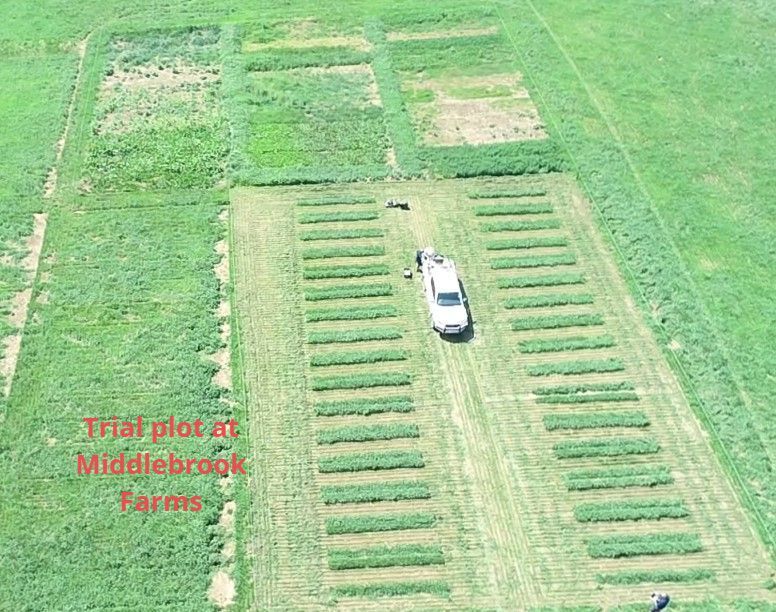 Trial Plot Middle Brook — Gloucester Rural Supplies in Gloucester, NSW