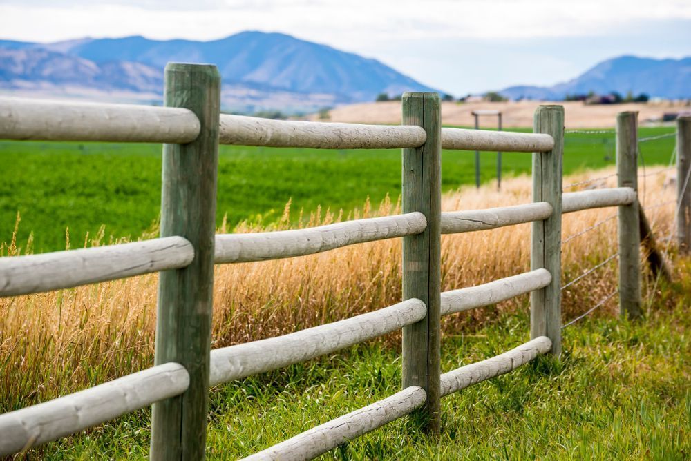 Rural Fencing — Gloucester Rural Supplies in Gloucester, NSW