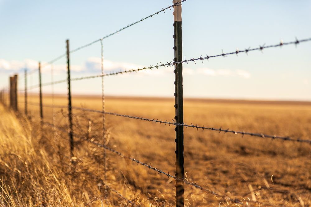 Fencing for Farms — Gloucester Rural Supplies in Gloucester, NSW