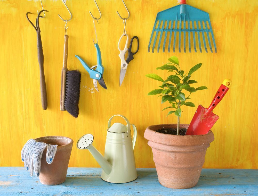Tools And Garden — Gloucester Rural Supplies in Gloucester, NSW