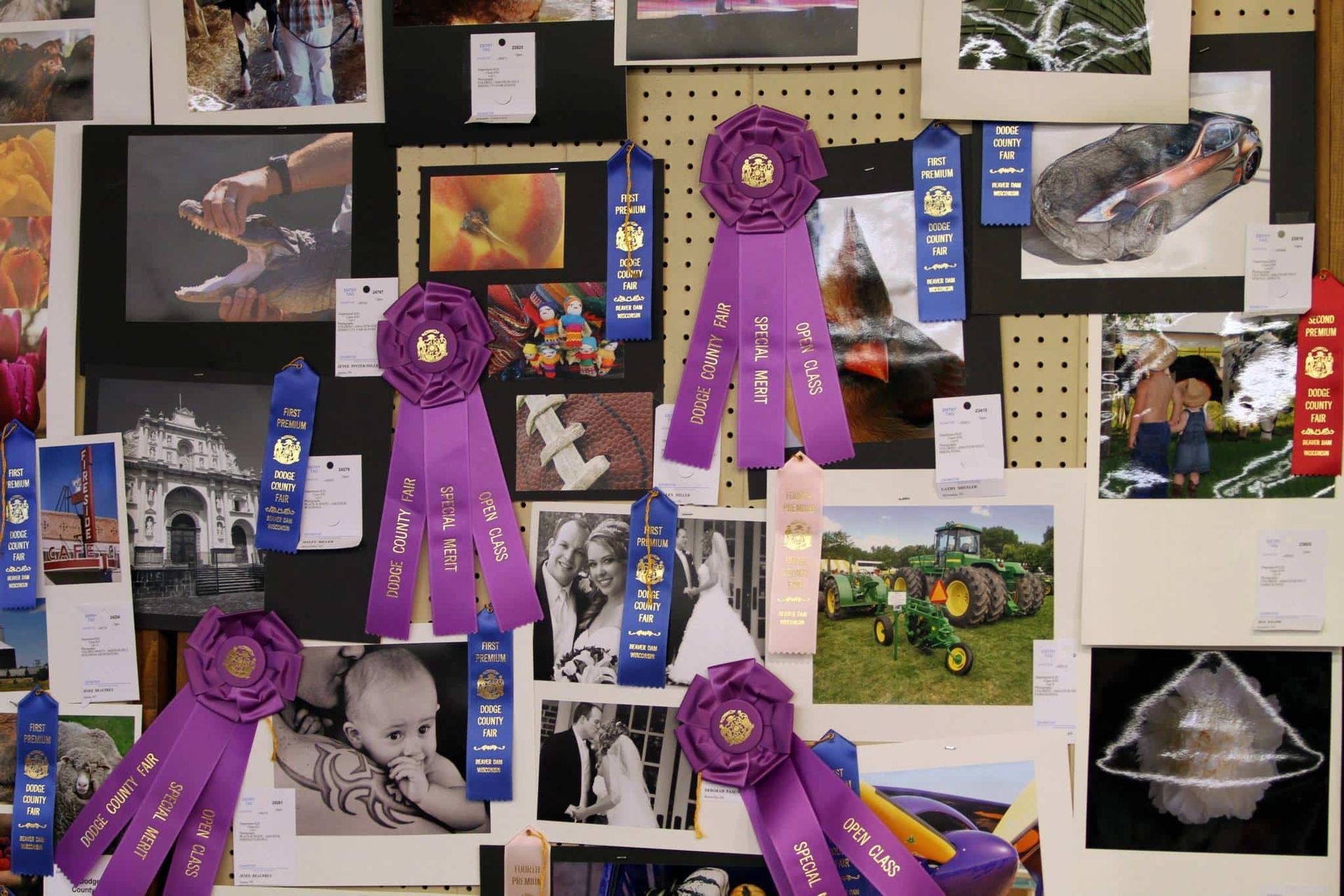 Bulletin board covered with photos and award ribbons, including purple rosettes and assorted pinned memories