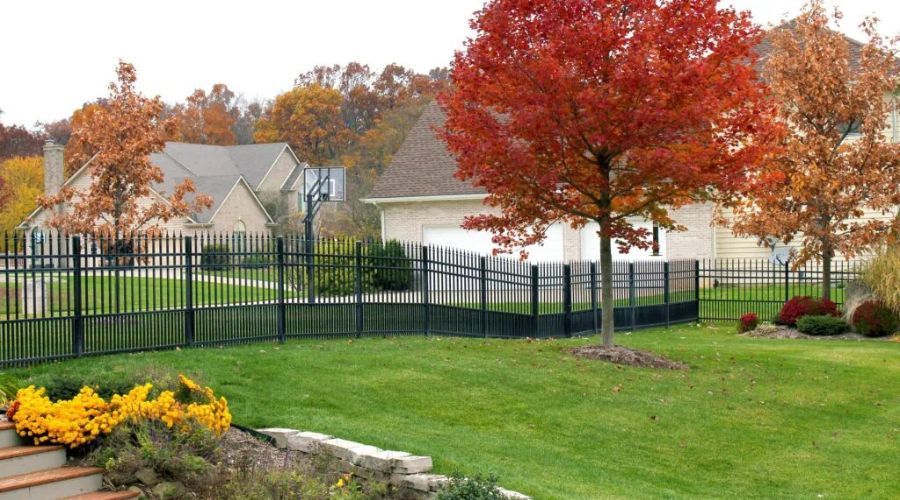 Black residential aluminum fence installed in a spacious backyard with green grass and vibrant autumn trees.
