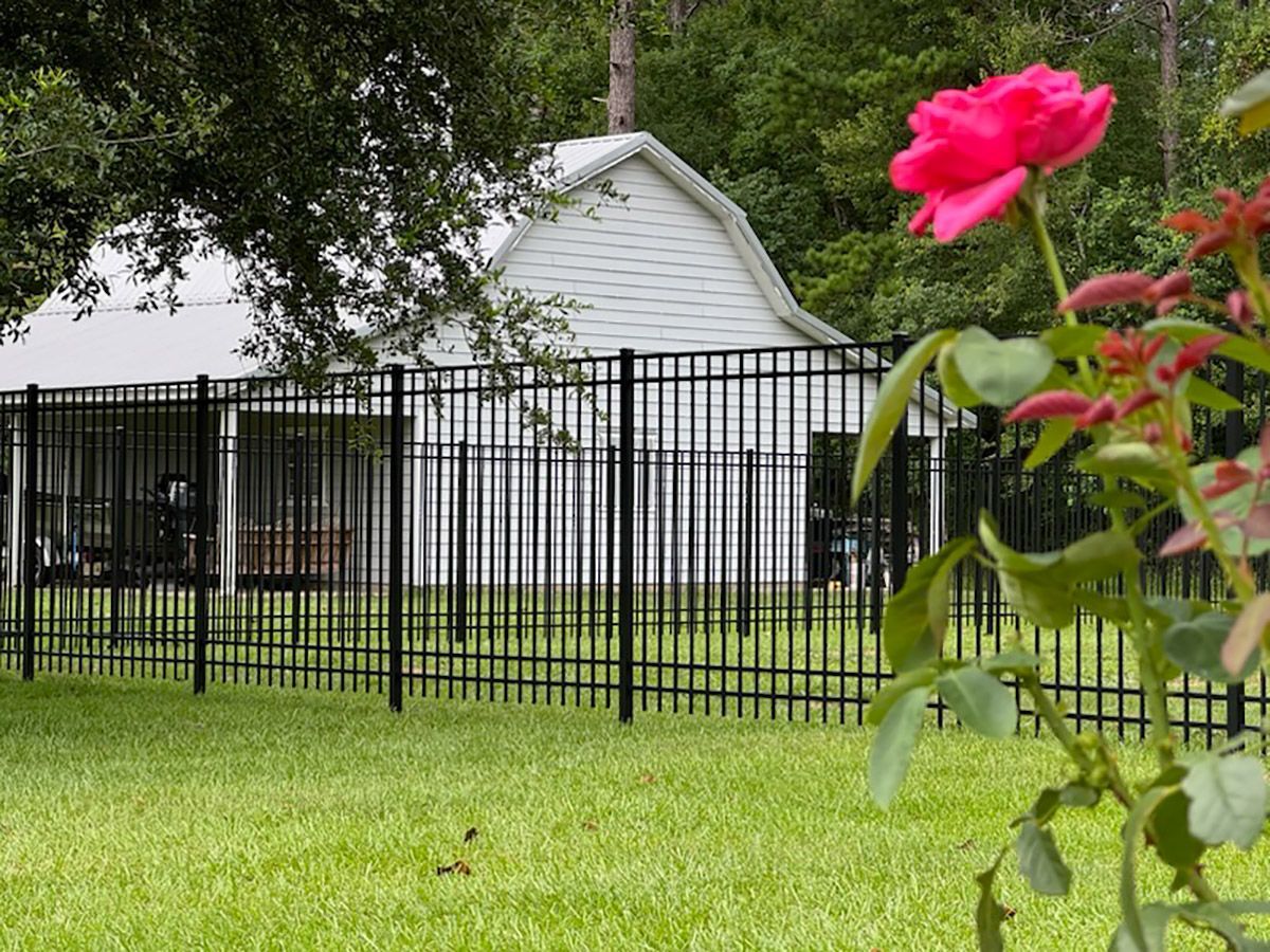 A pink rose is in front of a black fence in front of a white barn.