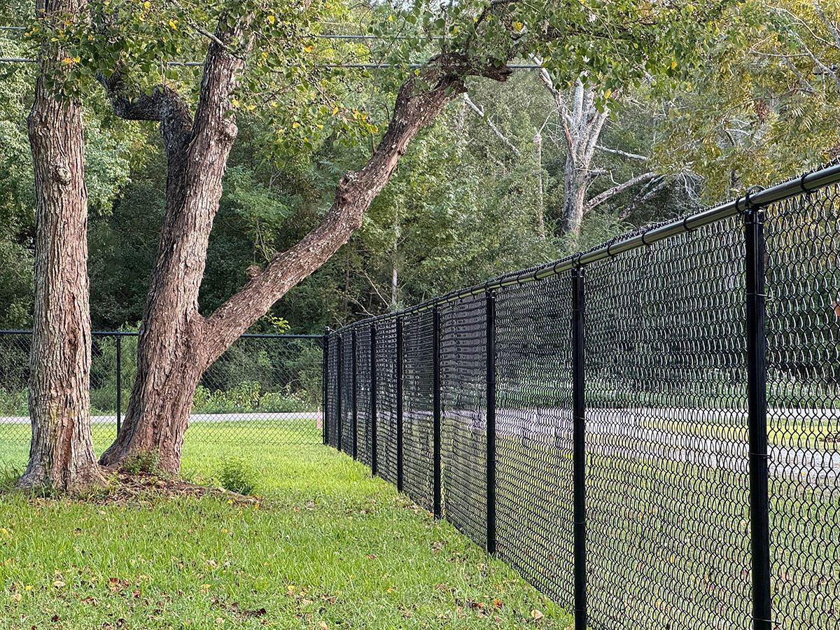 A chain link fence is surrounded by trees in a park.