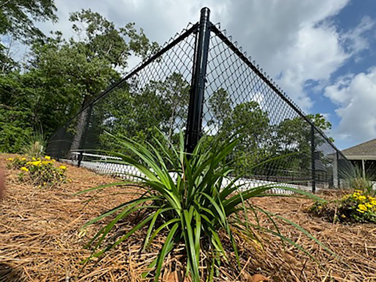 A chain link fence with a plant in front of it.