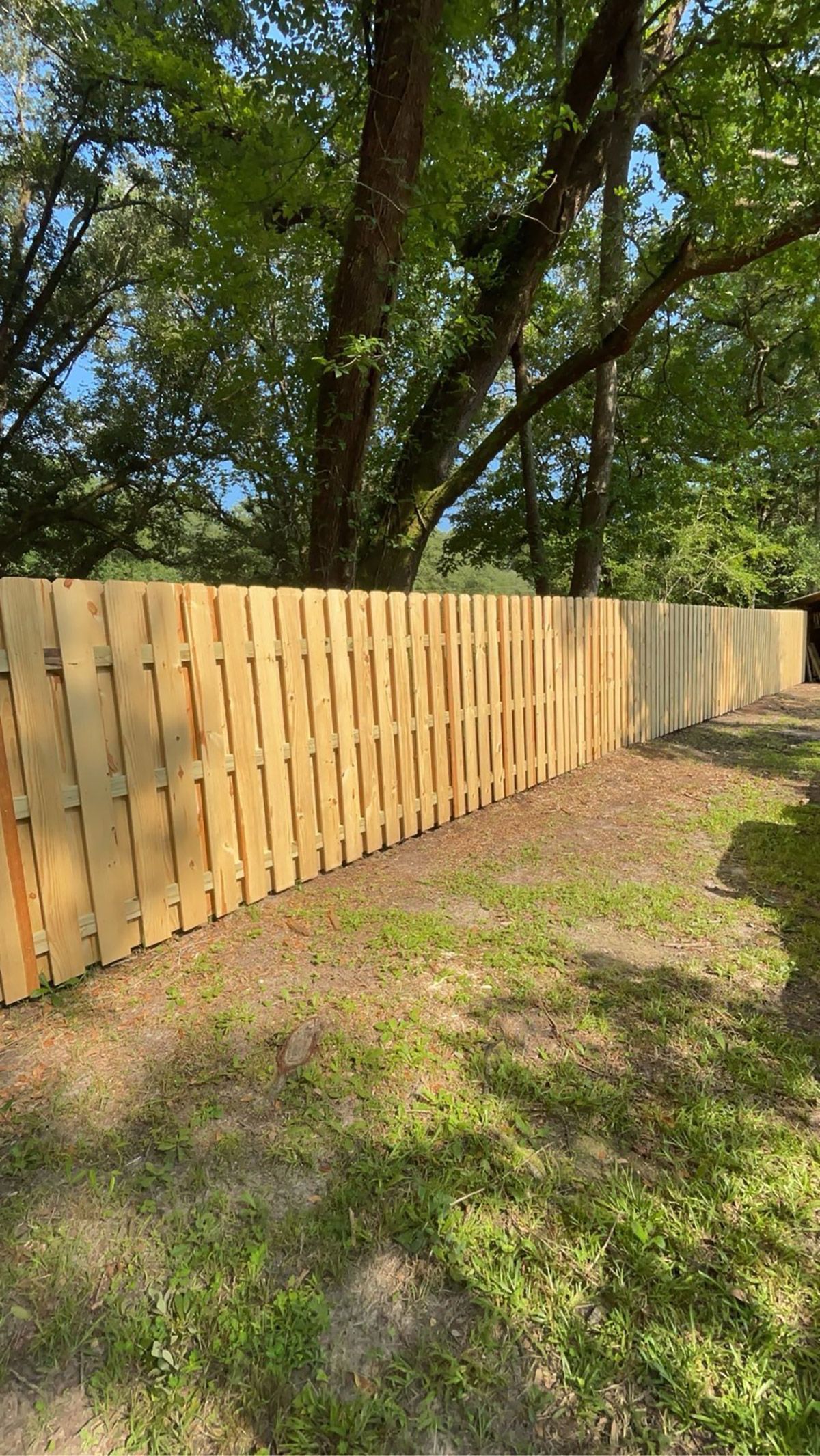 A wooden fence is surrounded by trees on a dirt road.