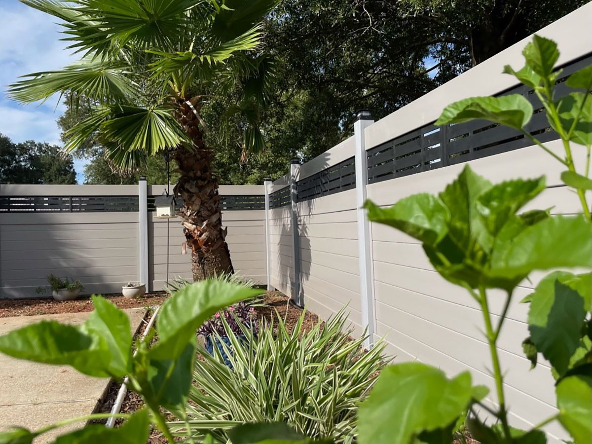 A fence with a palm tree in the background