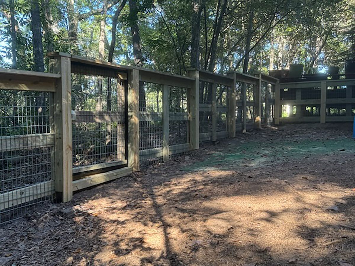 A wooden fence surrounds a dirt area in the woods.