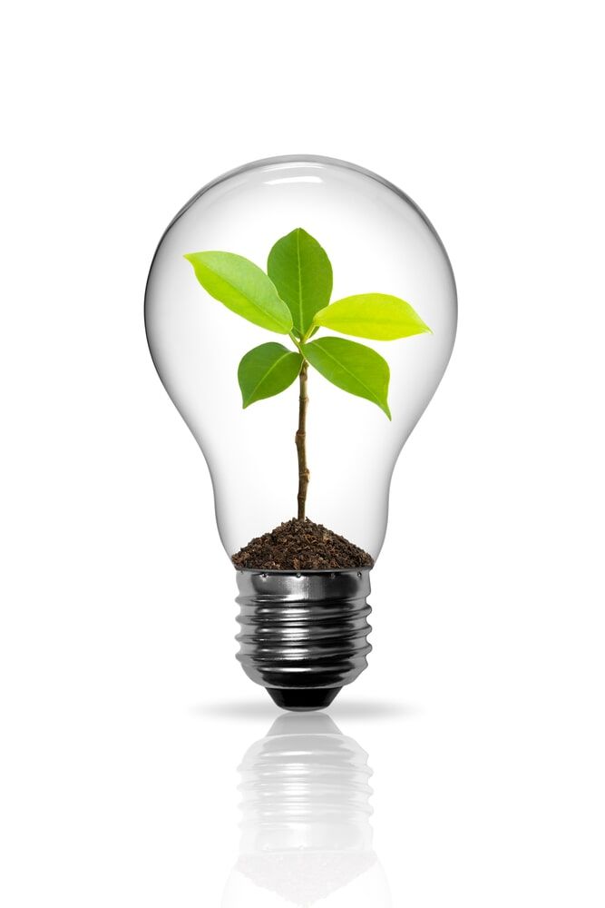 Green Bulb Icon