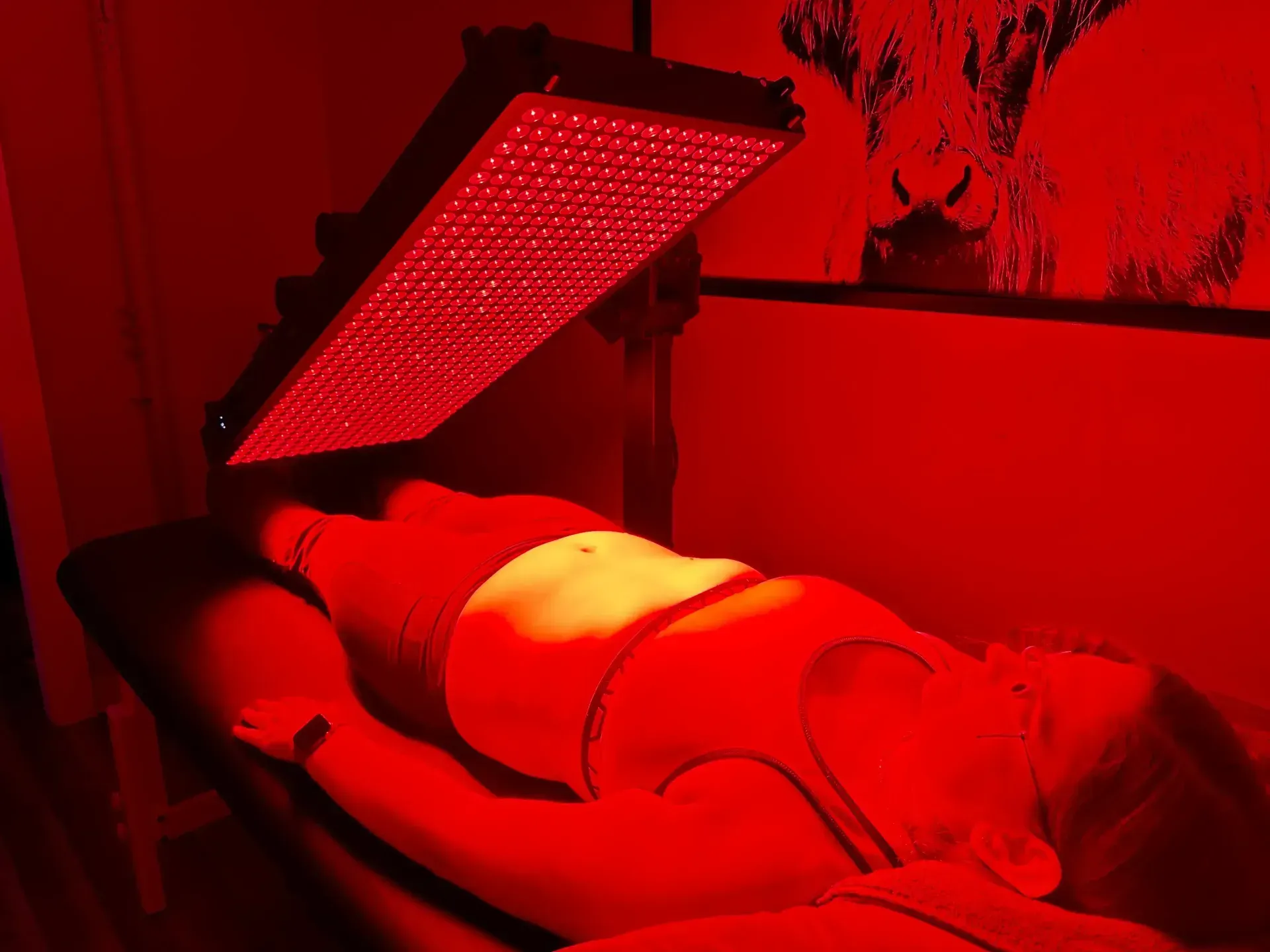 Person receiving red light therapy on stomach, lying on a massage table. Red light shines from overhead panel.