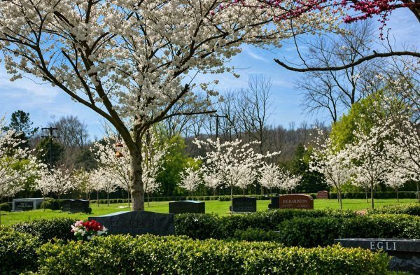 Spring cemetery landscape for Fairview, TN Funeral Home and Cremations with blooming trees and memorials