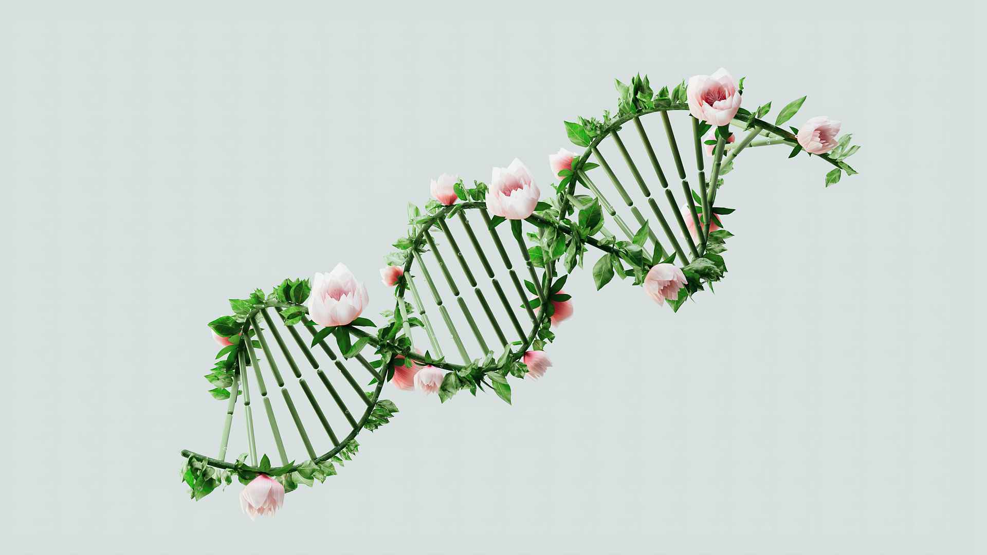 Green DNA double helix with pink flowers on a light background