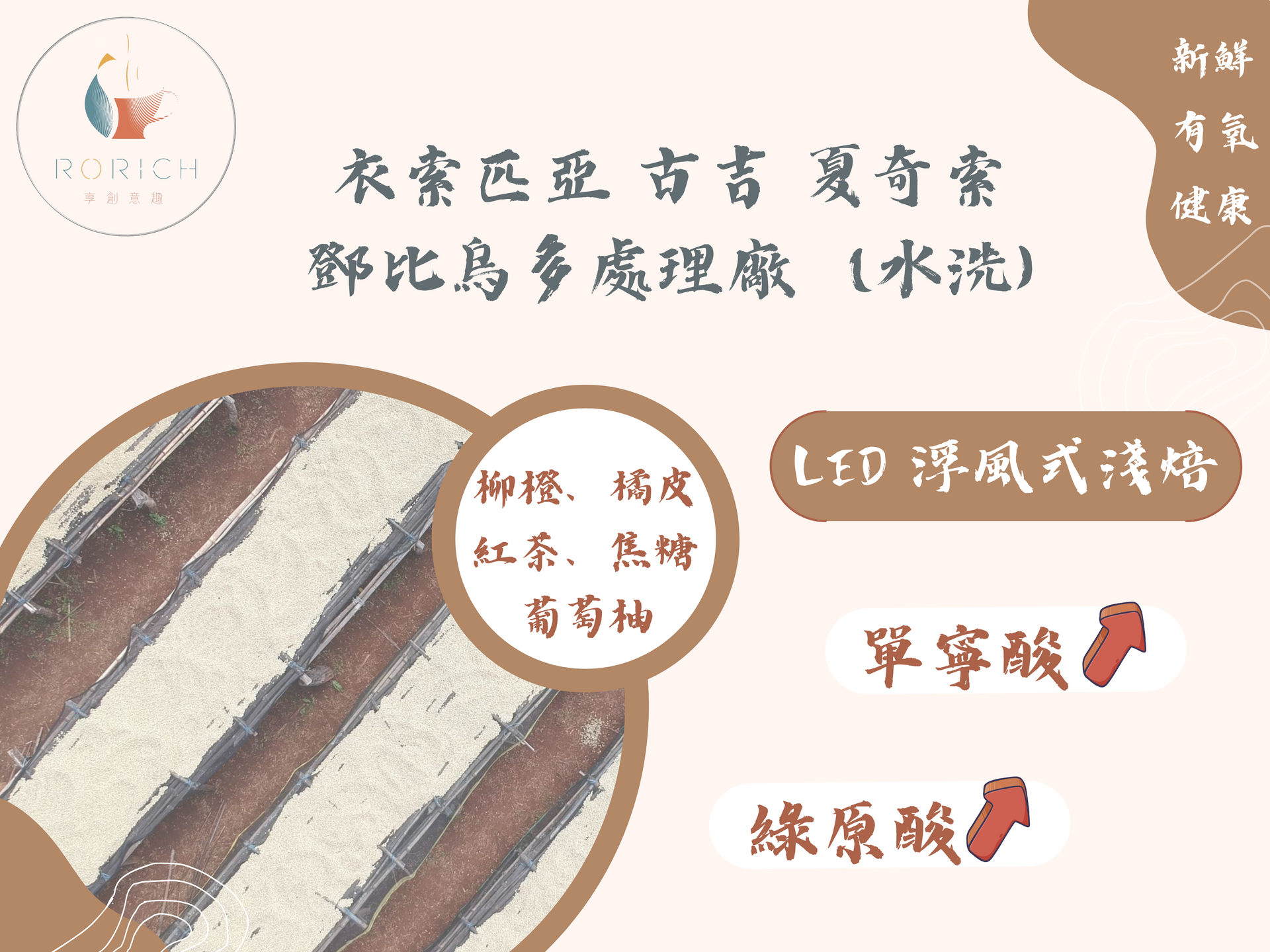衣索匹亞 咖啡