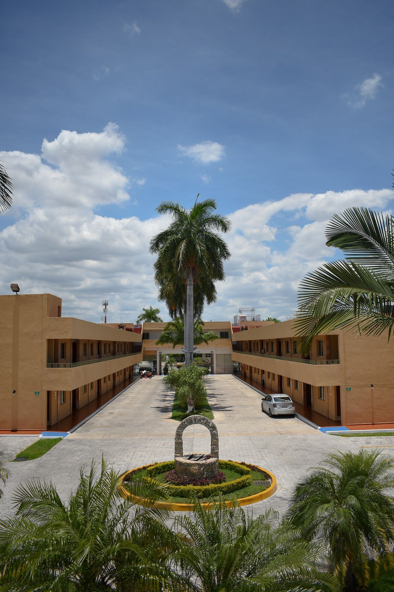Una hilera de edificios con una palmera en el medio.
