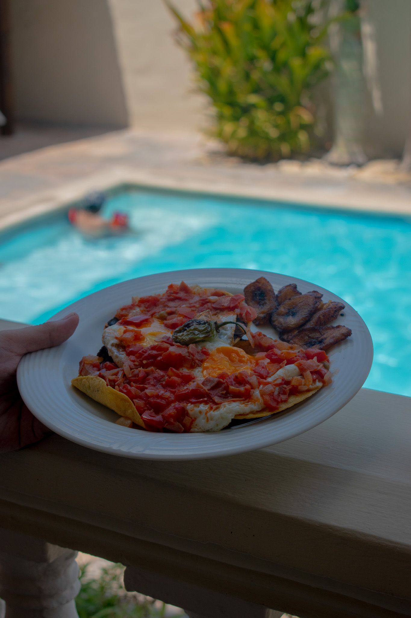 Una persona sostiene un plato de comida frente a una piscina.
