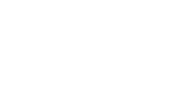 Nan's Acupuncture Clinic Logo