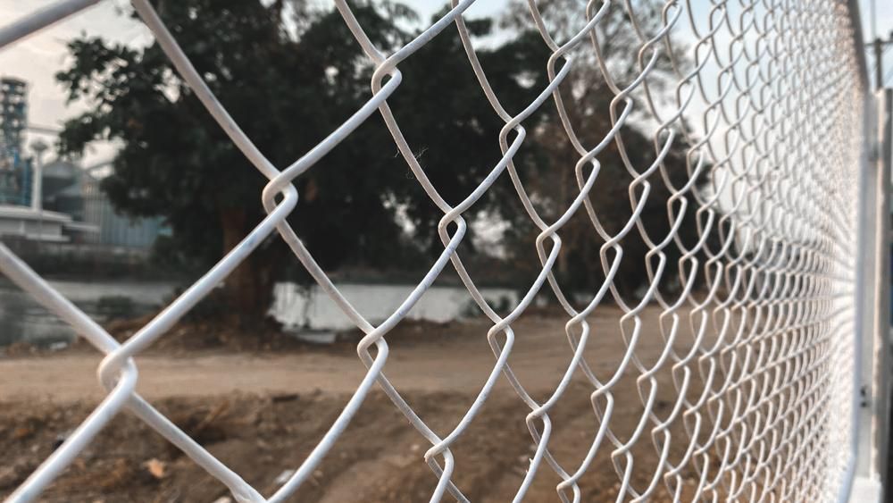 A Close Up Of A Chain Link Fence With Trees In The Background — Rabbo's Fencing Services In Katherine, NT