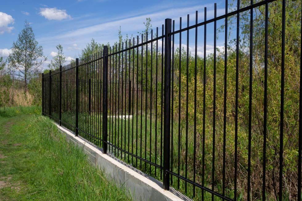 A Black Metal Fence Surrounds A Grassy Field — Rabbo's Fencing Services In Virginia, NT