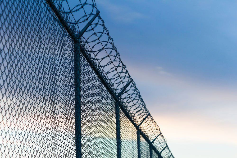 A Barbed Wire Fence With A Blue Sky In The Background — Rabbo's Fencing Services In Pinelands, NT