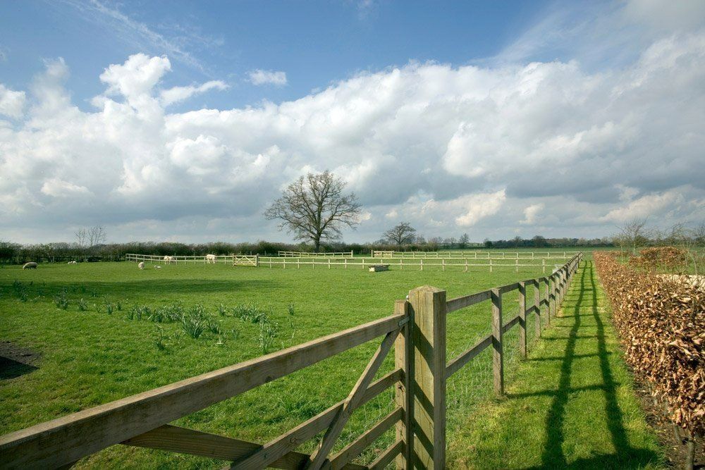 A Wooden Fence Surrounds A Grassy Field With A Tree In The Background — Rabbo's Fencing Services In Pinelands, NT