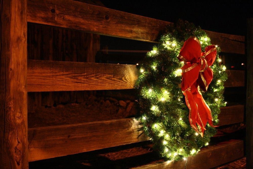 A Christmas Wreath With A Red Bow Is Hanging On A Wooden Fence — Rabbo's Fencing Services In Pinelands, NT