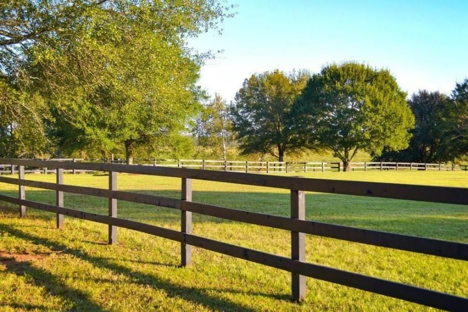 A Wooden Fence Surrounds A Grassy Field With Trees In The Background — Rabbo's Fencing Services In Pinelands, NT
