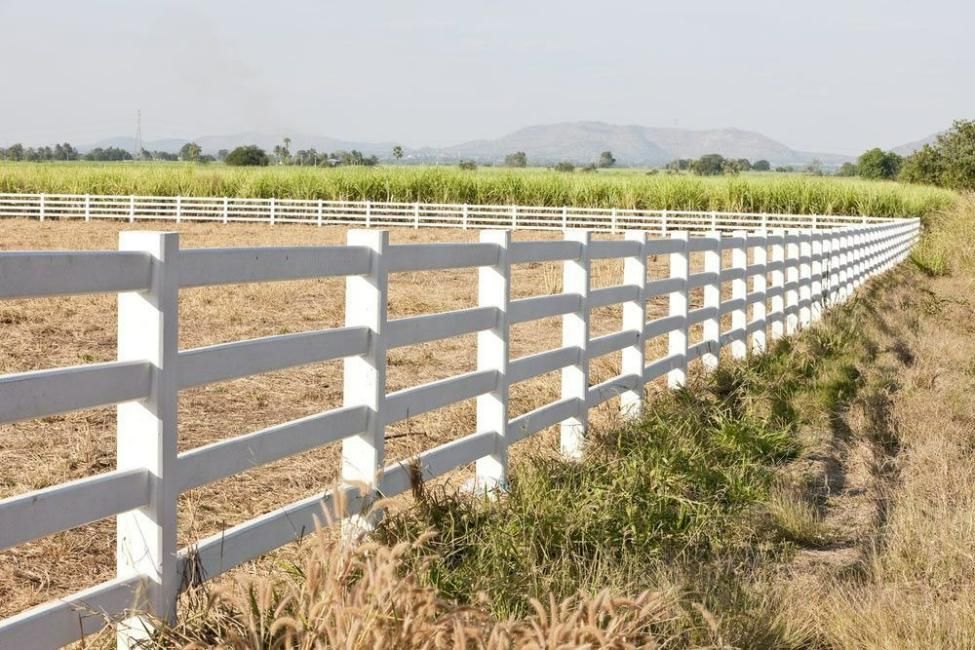 A White Fence Surrounds A Field Of Dry Grass — Rabbo's Fencing Services In Pinelands, NT