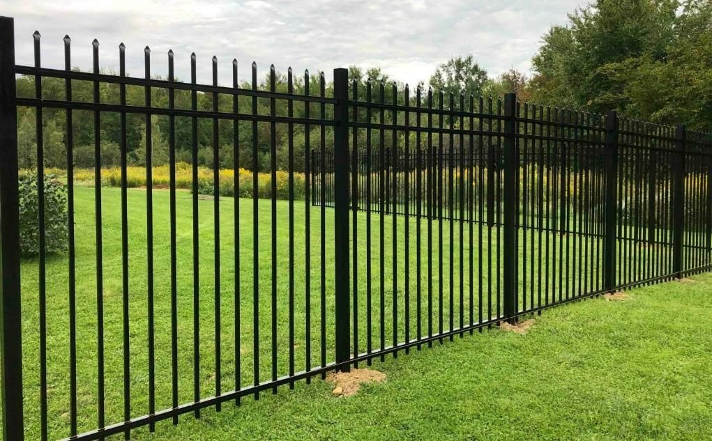 A Black Metal Fence Surrounds A Lush Green Field — Rabbo's Fencing Services In Pinelands, NT