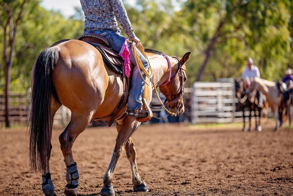 A Woman Is Riding A Horse In A Dirt Arena — Rabbo's Fencing Services In Noonamah, NT