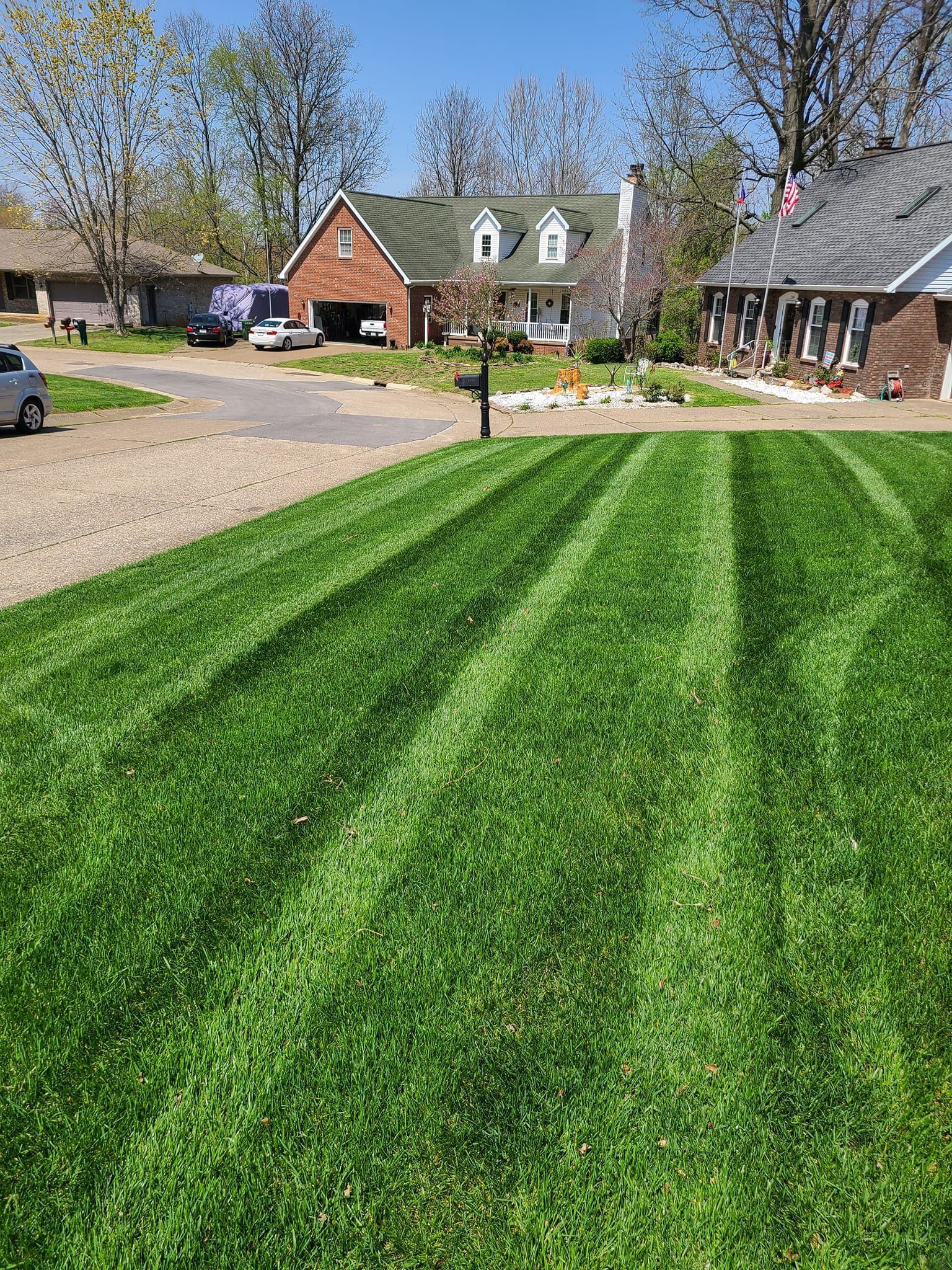 Green lawn with striped mowing pattern, suburban houses, blue sky.