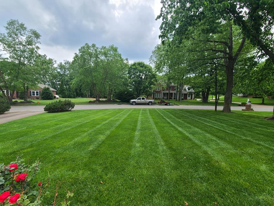 Lawn mowed with stripes, suburban neighborhood. Green grass, trees, and cloudy sky. A truck is parked on the street.