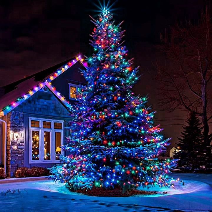 Christmas tree illuminated with colorful lights in front of a house at night.