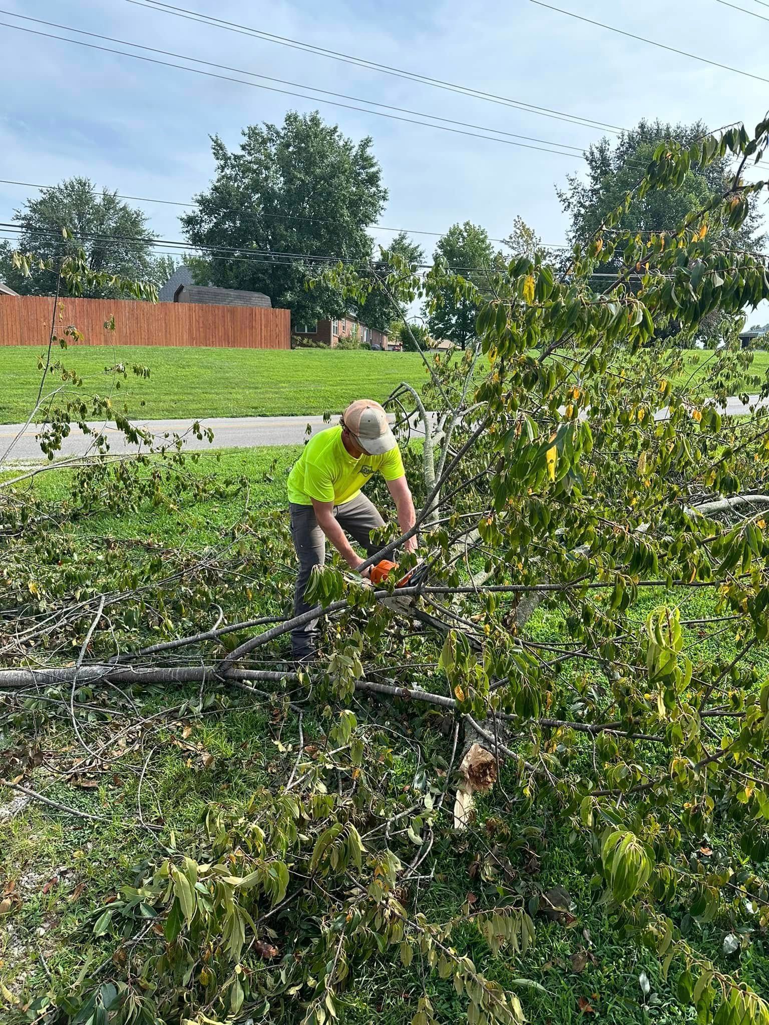 A person in safety gear uses a chainsaw to cut branches. Green shirt, outdoors.