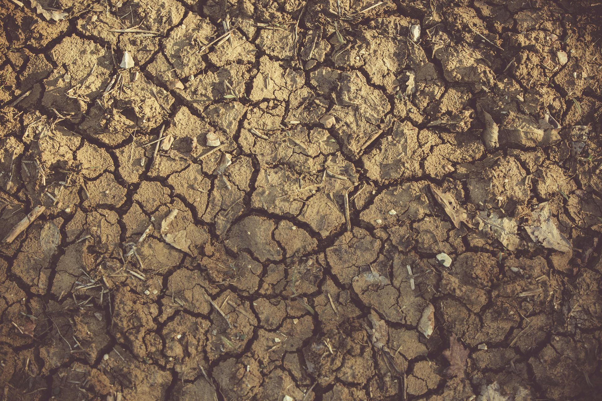 Cracked, dry brown earth with visible fissures and a rough texture.