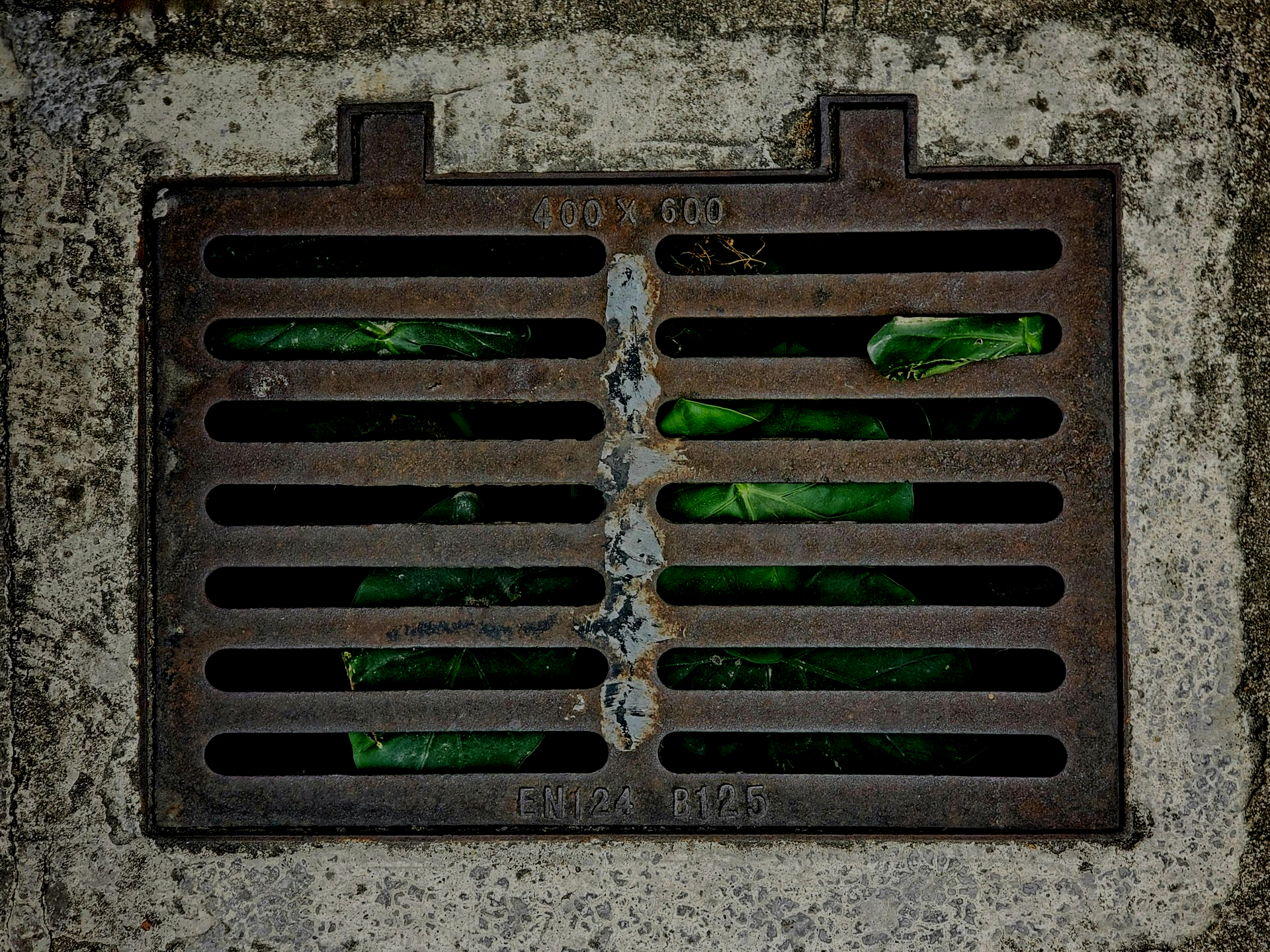 Rusty metal drain cover in concrete, with green objects visible through the slats.