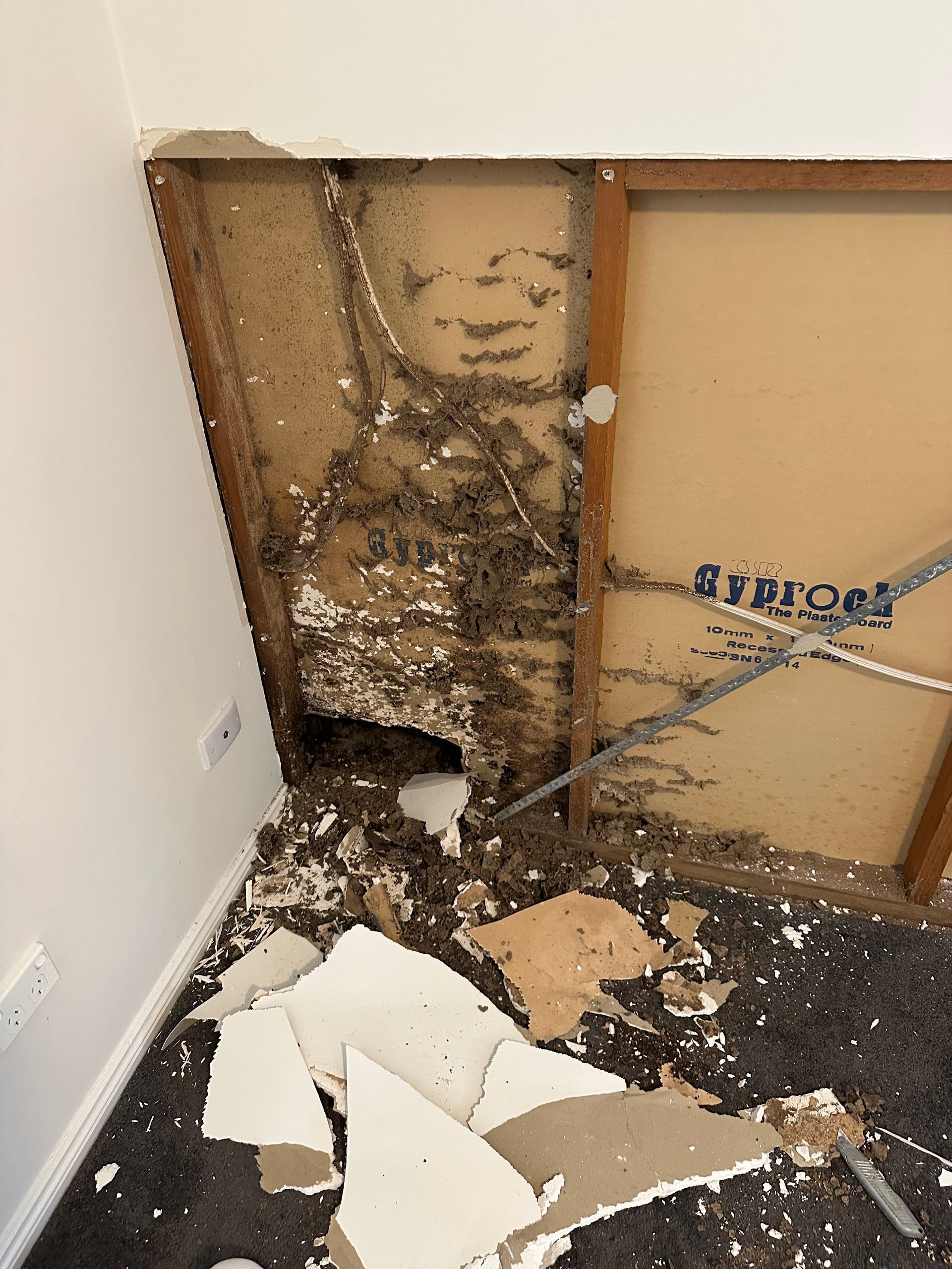 renovations ervices