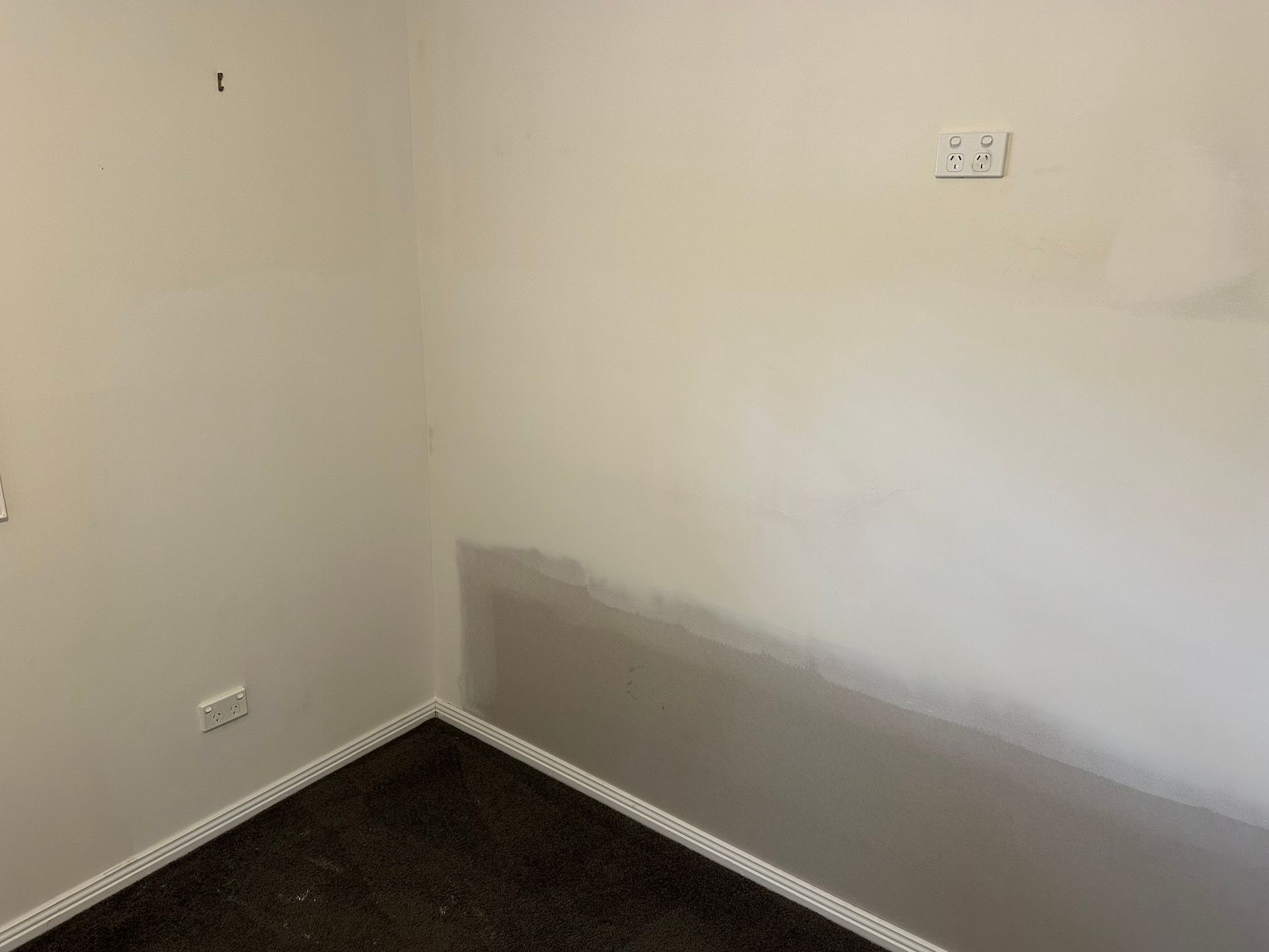 Interior corner with white walls, dark carpet, and a section of wall partially painted gray.