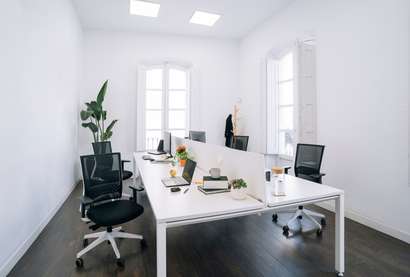 Bright white conference room with a long table, black chairs, and potted plants