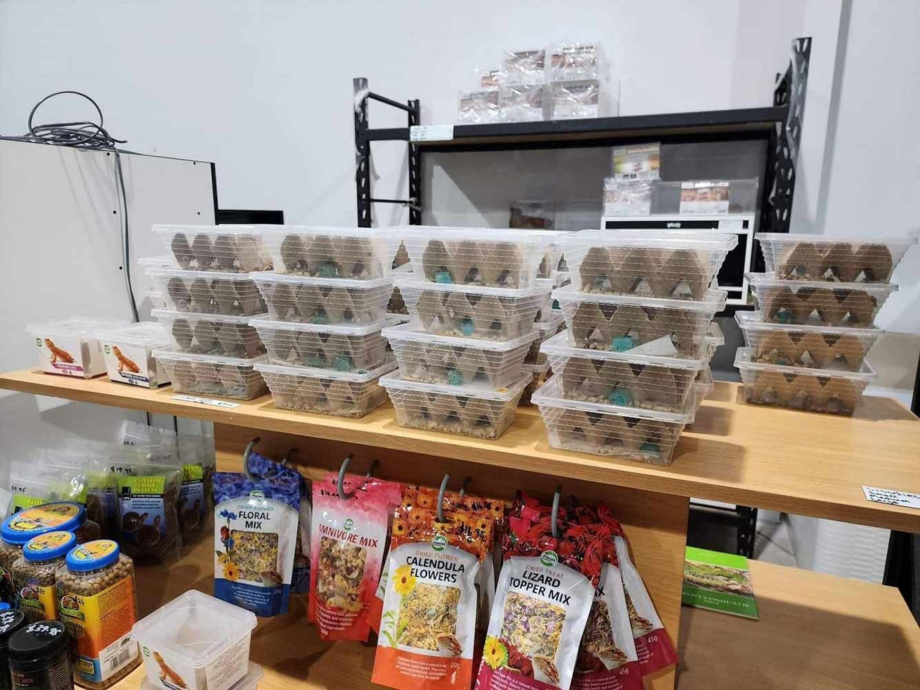 Shelves of Reptile Food Items and Containers With Insects for Sale in a Store — Jonath’s Animal Kingdom in Beresfield, NSW